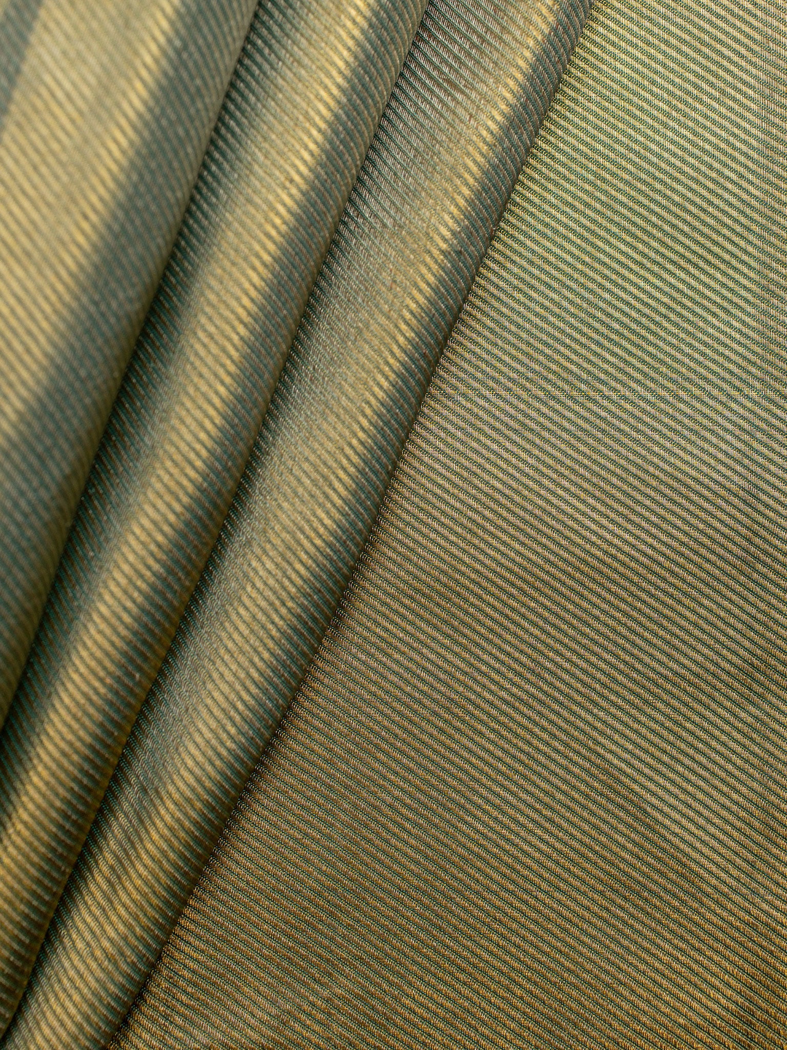 Kanjeevaram Tissue Kanchi Pattu Plain + Without Border Green