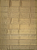 Kanjeevaram Tissue Kanchi Pattu All Over Ivory Gold