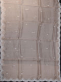Beige Organza Saree with Pearl Work & Pearl Border