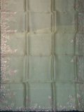 Fancy Organza Cut Work + Zari Work With Butta Green