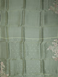 Fancy Organza Cut Work + Zari Work With Butta Green