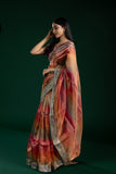 Multicolor Tissue Organza Saree with Thread Embroidery